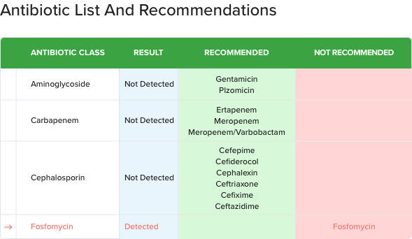 molecular testing report format displaying antibiotic list and recommendations based on detected genes and clinical guidelines