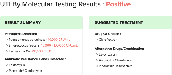 report format of uti by molecular methods displaying positive testing results, result summary, and suggested treatment