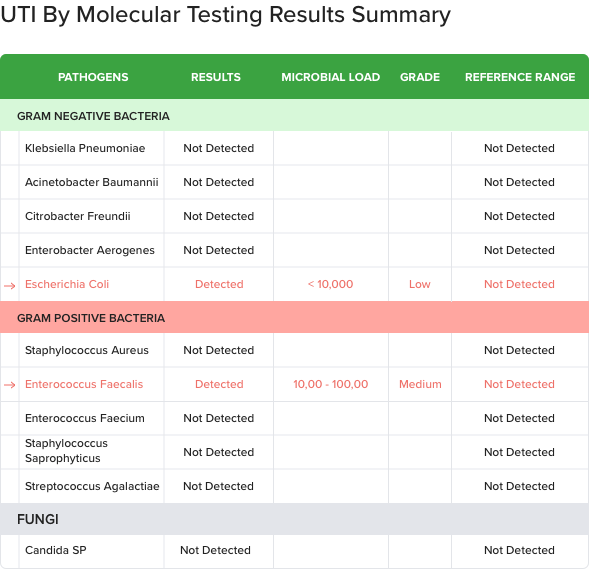 molecular testing report format displaying result summary of pathogens, ABR genes, and drug recommendations
