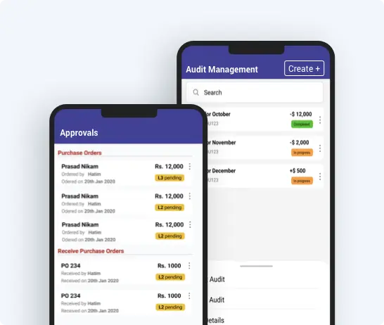 audit management software for medical inventory